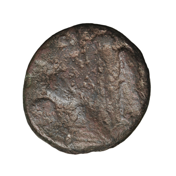 Bronze coin of Phraates V and Musa (3 BC–4 AD). Obverse: bust of Phraates V left, wearing a diadem