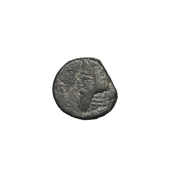Bronze coin of Gotarzes II (king of the Parthians; 40–51). Obverse: head of Gotarzes II in diadem