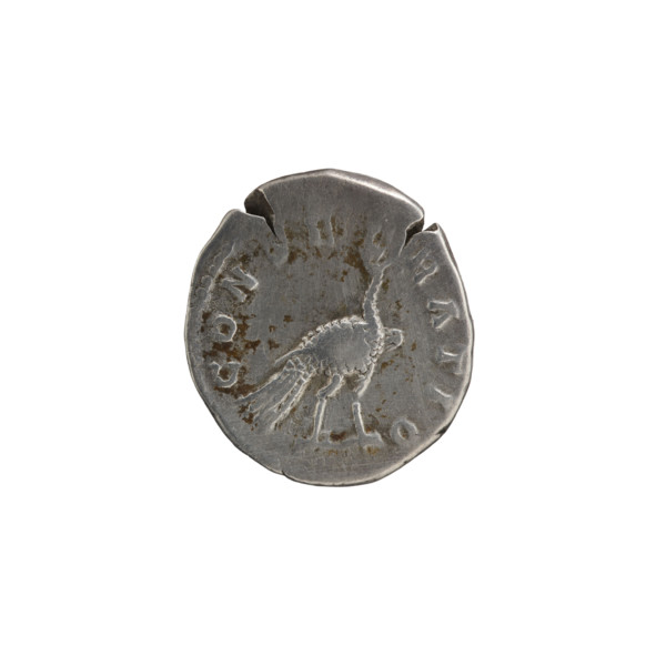 Denarius, Faustina the Younger (ca. 130–176; Roman empress 161–176) (posthumous issue for Marcus
