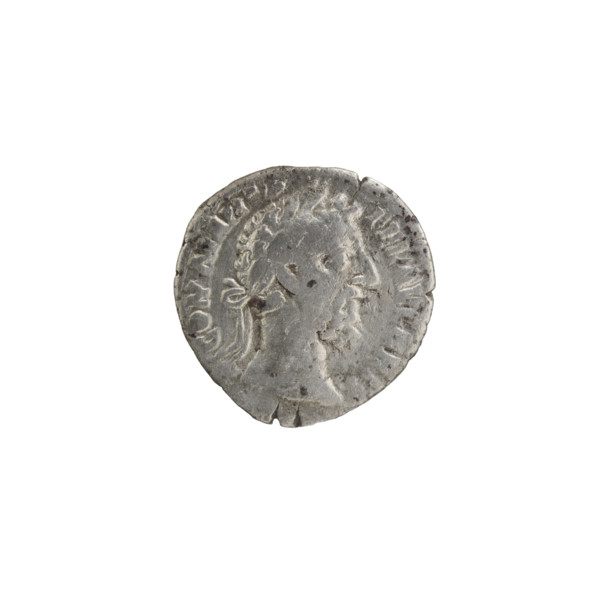 Denarius of Commodus (reigned 177–192). Obverse: Head of Commodus in a laurel wreath facing right,