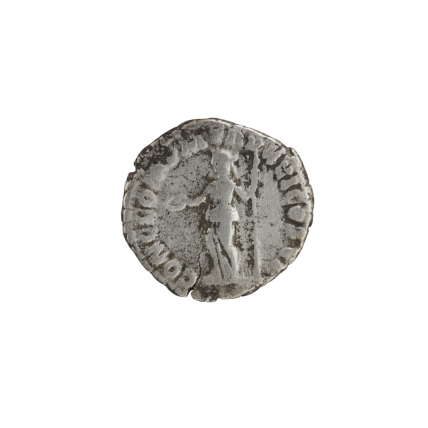 Denarius. Obverse: Head of Commodus in laurel wreath facing right; legend 'M COMM ANT, FEL - AVG