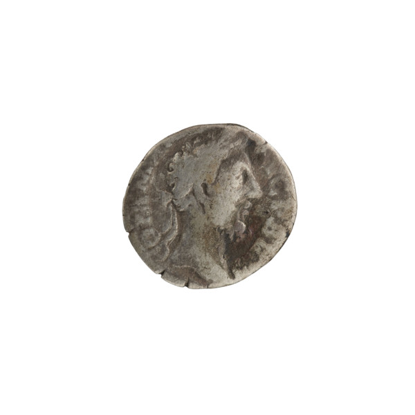 denarius, Commodus (161–192; Roman emperor 177–192), obverse: head of Commodus in a laurel wreath