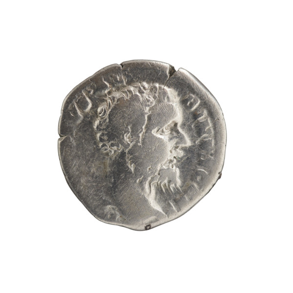 Denarius of Septimius Severus (146–211; Roman emperor 193–211), issuer; Clodius Albinus (c.150–197;