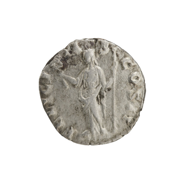 Denarius, Clodius Albinus (ca. 150–197; Roman emperor 193–197), Caesar 193–195; Septimius Severus