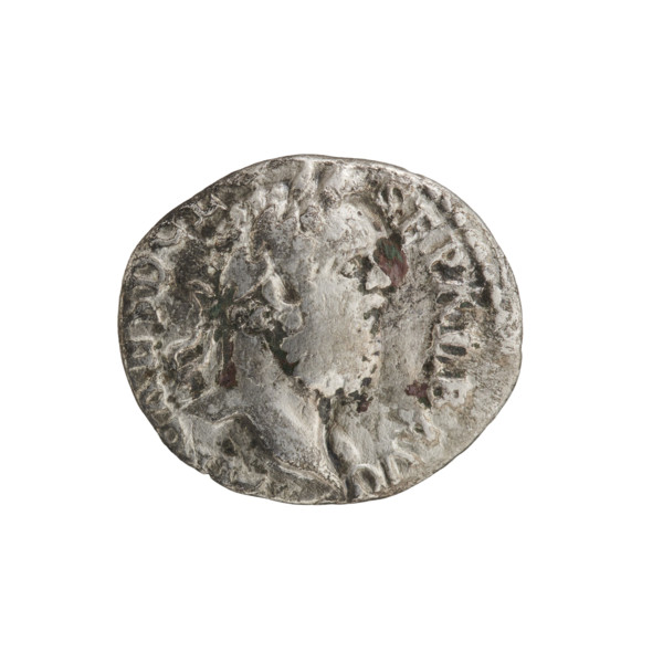 Denarius of Clodius Albinus (ca. 150–197; Roman emperor 193–197). Obverse: Head of Clodius Albinus
