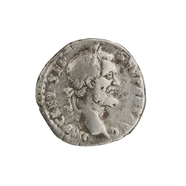 Denarius of Septimius Severus (146–211; Roman emperor 193–211). Obverse: laureate head of Septimius