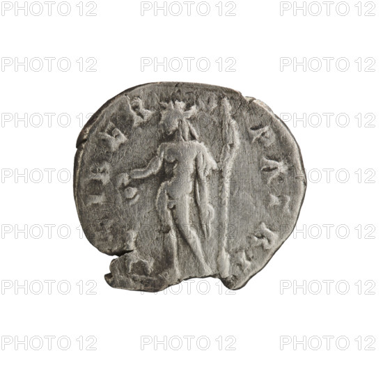 Denarius; Roman deities and animals; Liber (mythology); portrait of Septimius Severus (Roman