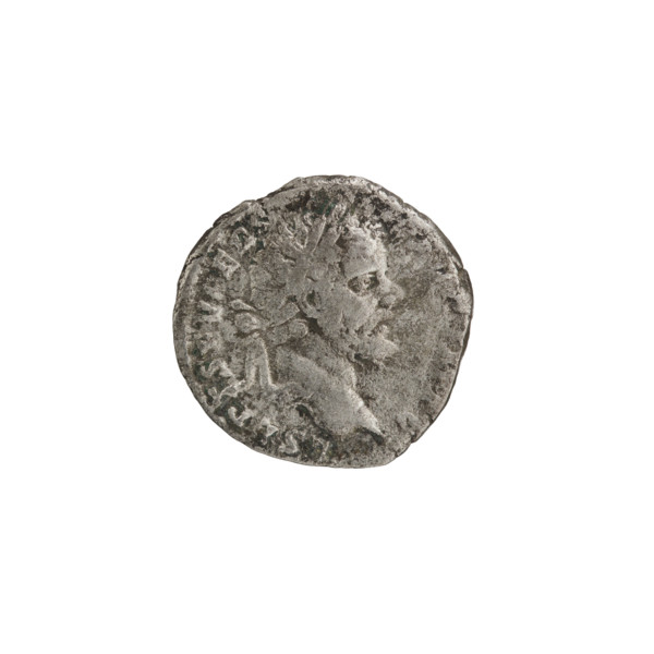 Denarius; obverse: Head of Septimius Severus in a laurel wreath facing right, inscription L SEPT