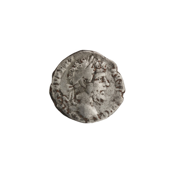 Denarius; head of Septimius Severus in a laurel wreath facing right, inscription 'SEPT SEV PERT -