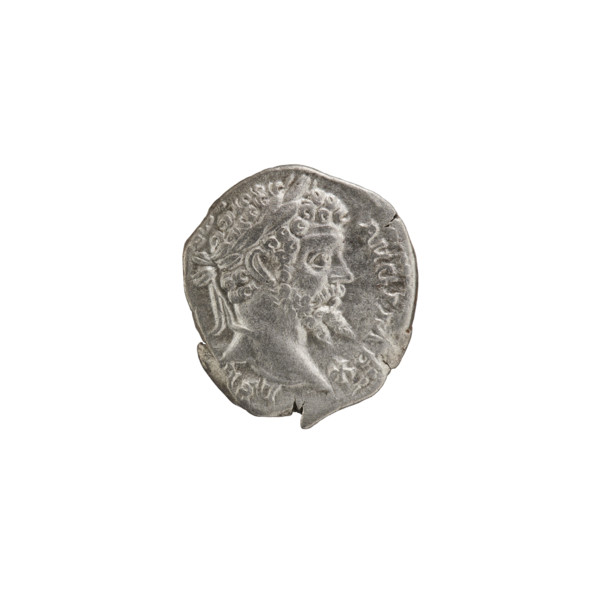 Denarius; Obverse: Head of Septimius Severus with laurel wreath facing right, pearl rim,