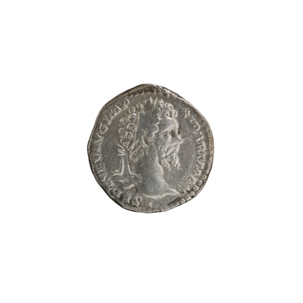 Denarius; obverse: head of Septimius Severus in a laurel wreath facing right, pearl rim,