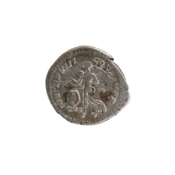 Denarius; obverse: SEVERVSAVG PARTMAX — head of Septimius Severus in a laurel wreath facing right,