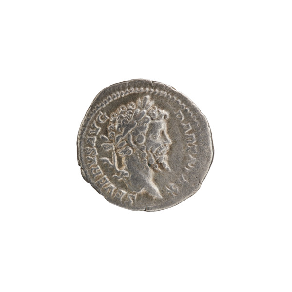 Denarius of Septimius Severus (Roman Emperor, 146–211). Obverse: Head of Septimius Severus with