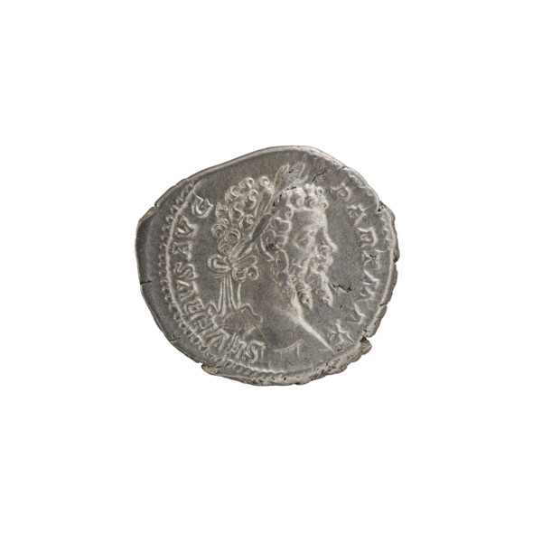 Denarius, Septimius Severus (Roman Emperor; 146–211) — Obverse: Head of Septimius Severus with a