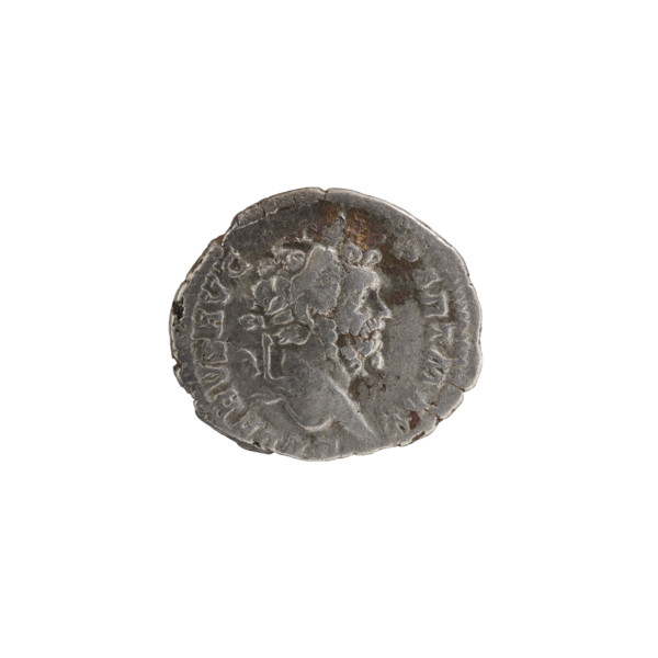 Denarius of Septimius Severus (Roman Emperor, 146–211). Obverse: Head of Septimius Severus in a