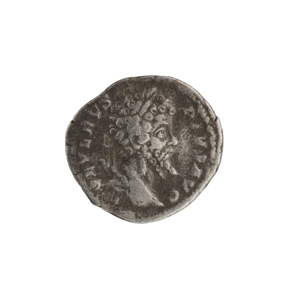 Denarius of Septimius Severus (Roman emperor, 146–211). Obverse: head of Septimius Severus in a
