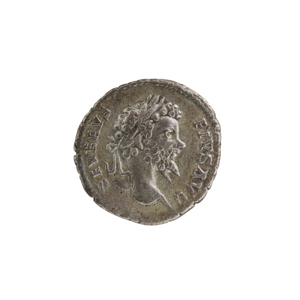 Denarius, Septimius Severus (Roman emperor; 146–211). Obverse: SEVERVS PIVS AVG — head of Septimius