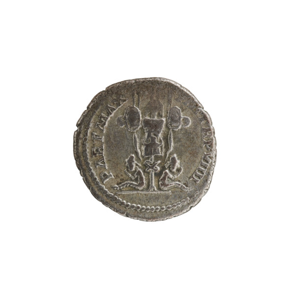 Denarius of Septimius Severus (Roman emperor, 146–211). Obverse: SEVERVS PIVS AVG — head of