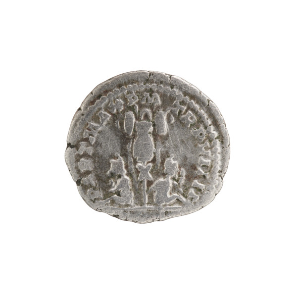 Denarius, Septimius Severus (Roman emperor; 146–211). Obverse: laureate head of Septimius Severus
