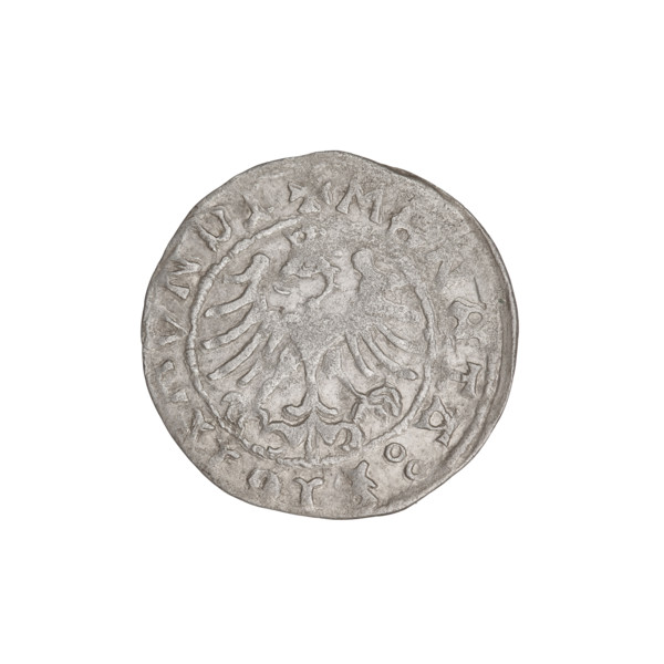 Crown half-grosz, Sigismund I the Old (King of Poland; 1506–1548). Obverse: Polish crowned eagle