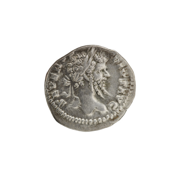 Denarius. Obv.: SEVERVS PIVS — Head of Septimius Severus in laurel wreath facing right, pearl rim.