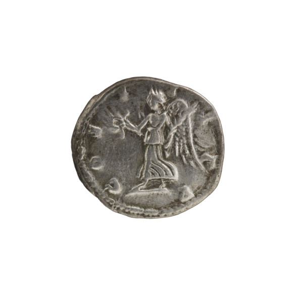 Denarius. Obv.: SEVERVS PIVS. Head of Septimius Severus in laurel wreath facing right, pearl rim.