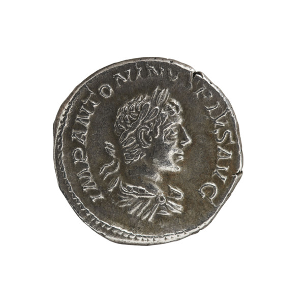 Denarius, Elagabalus (reigned 218–222). Obverse: Bust of Elagabalus with laurel wreath and