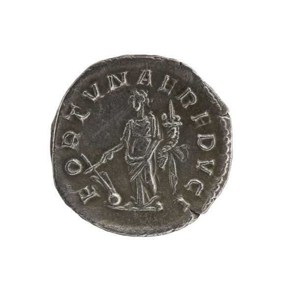 Denarius, Elagabalus (204–222; Roman emperor 218–222). Obverse: Bust of Elagabalus with laurel