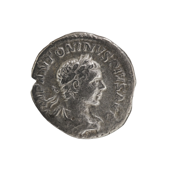 Denarius, Elagabalus (204–222; Roman emperor 218–222). Obverse: IMP ANTONINVS PIVS AVG — Bust of