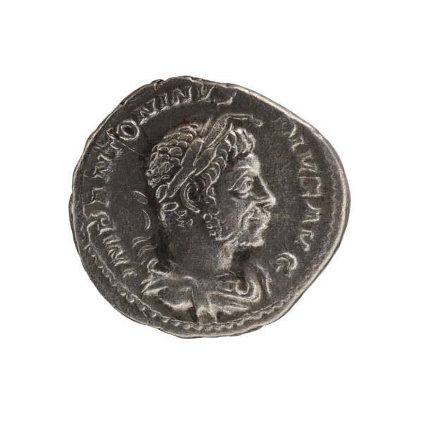 Denarius, Elagabalus (204–222; Roman emperor 218–222). Obverse: IMPANTONINVS PIVS AVG — Bust of
