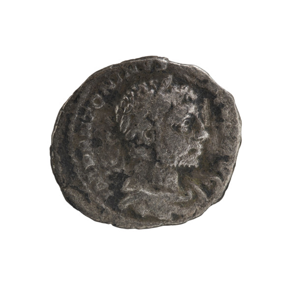 Denarius of Elagabalus (reign 218–222), Roman Empire, 221. Obverse: Bust of Elagabalus with laurel
