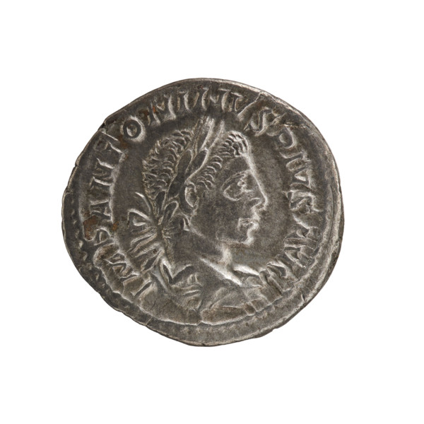 Denarius of Elagabalus (reigned 218–222). Obverse: Bust of Elagabalus with laurel wreath and