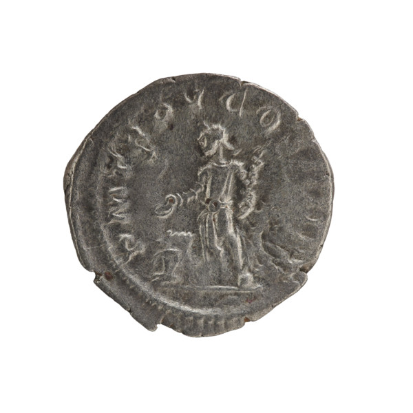 Denarius, Elagabalus (204–222; Roman emperor 218–222). Obverse: IMPANTONINVSPIVSAVG — Bust of