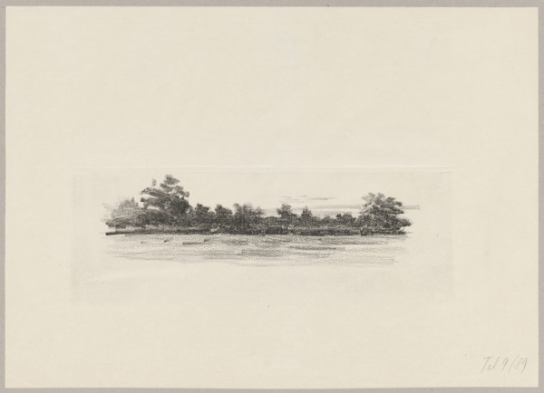 Zagajnik, Wyczólkowski, Leon (1852-1936), graphic artist; Pruszynski, Aureliusz (Kraków ; artistic