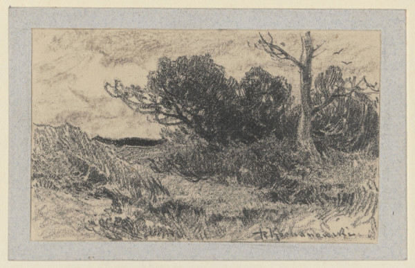 Landscape study; artist: Roman Kazimierz Kochanowski (1857–1945); subjects: trees, bushes,