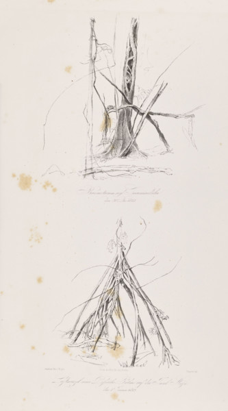 1) Tree trunk on the island of Tuaimaiduba, December 30, 1842; 2) Roots of the passuiba palm on the