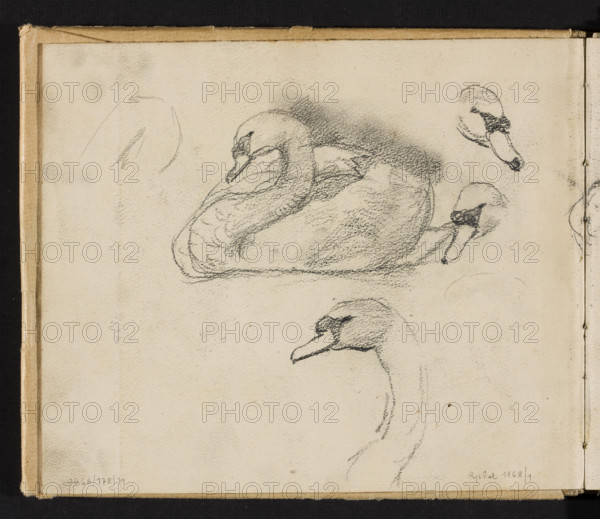 Sketches of swans for the painting 'Pond in Radziejowice' (1898); on both sides, Józef Chelmonski