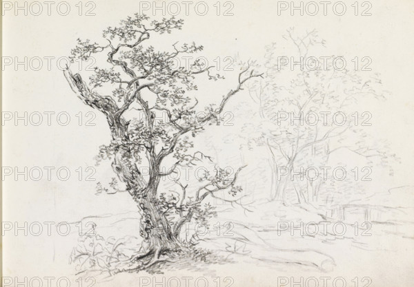Landscape with trees, sketchbook page, In the background a bridge over water. Page 32 recto from a