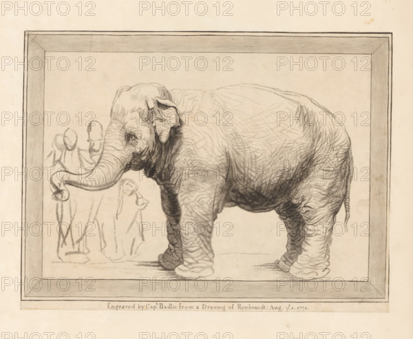 Elephant with bystanders, print, album page, printmaker: William Baillie, after drawing by