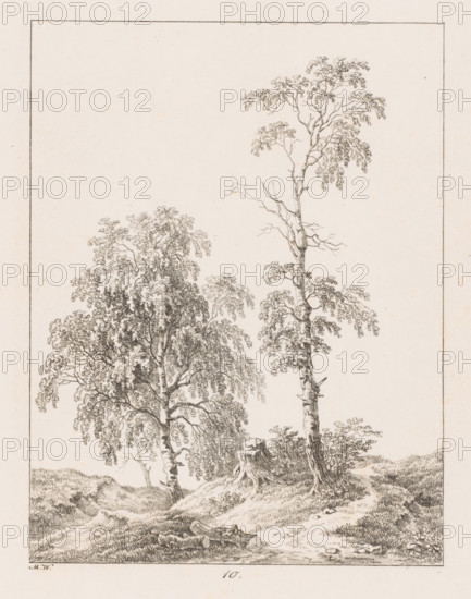 Tree stump between two trees, Templates for Landscape Drawers, Examples for the landscape artist,