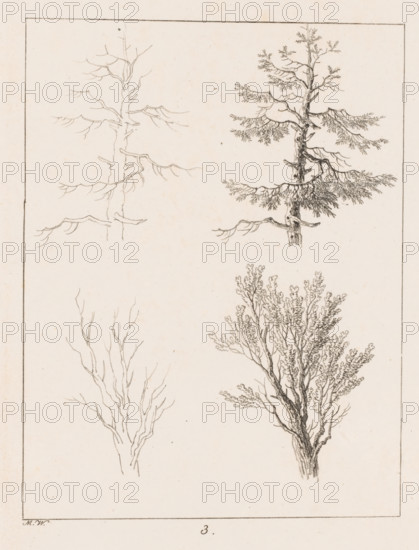 Silhouettes of treetops, Templates for Landscape Drawers, Examples for the Landscape Artist, print,