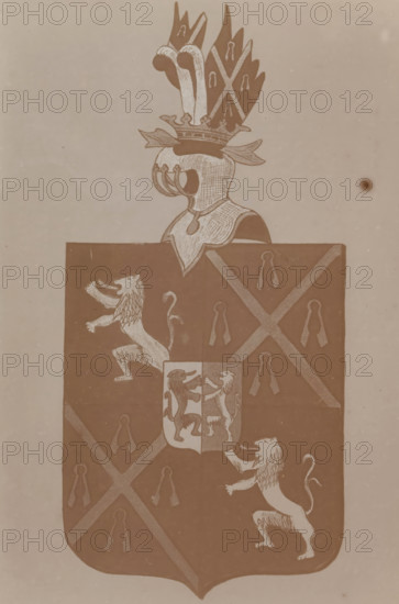 Photographic reproduction of a drawn coat of arms of a member of the Bronckhorst-Batenburg family,