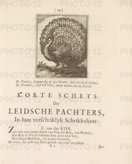 Peacock, print, book illustration, A peacock with ruffled tail feathers. Accompanying a two-line