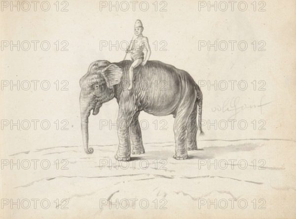 An elephant and a mahout, sketchbook page. In the center of the page, a tusksless elephant (aliya)