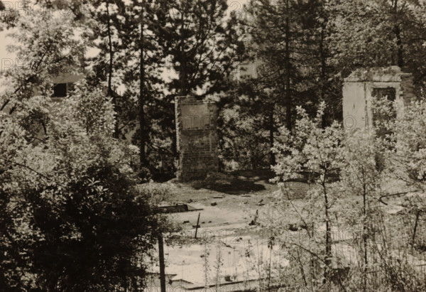 Part of a ruin, surrounded by dense vegetation of trees and shrubs, photograph, surrounded by dense