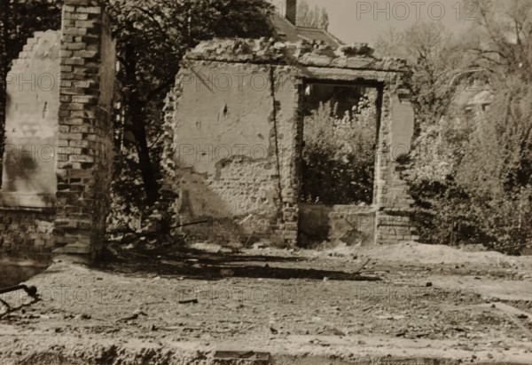Part of a ruin, with an overgrown wall containing a doorway and bushes surrounding it, with a