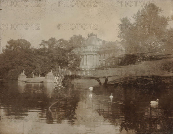 Country house on the bank of a body of water where swans are swimming, with trees in the