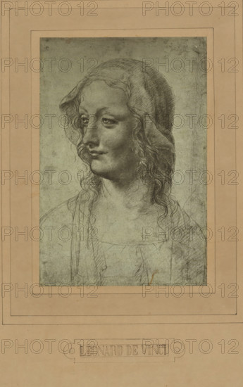 Photo reproduction of a drawing by Leonardo da Vinci (head of a woman), photograph, photographer: