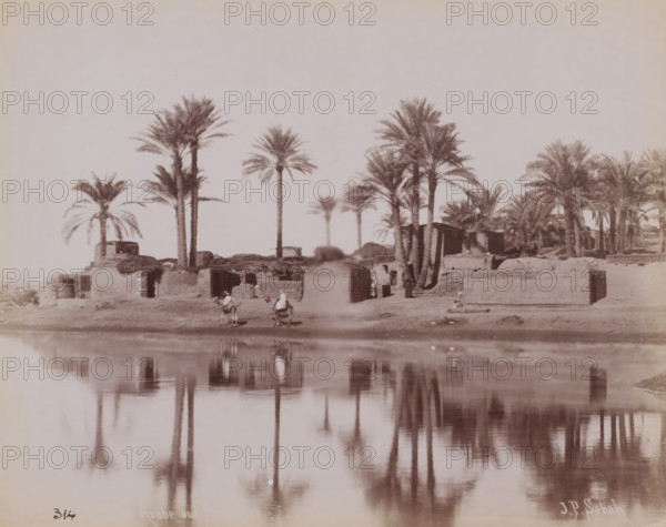 Landscape with water, palm trees and buildings, Middle East, photograph, Middle East., inscription: