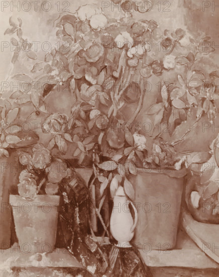 Photo reproduction of a painting with a still life with plants by Paul Cézanne from the Hoogendijk